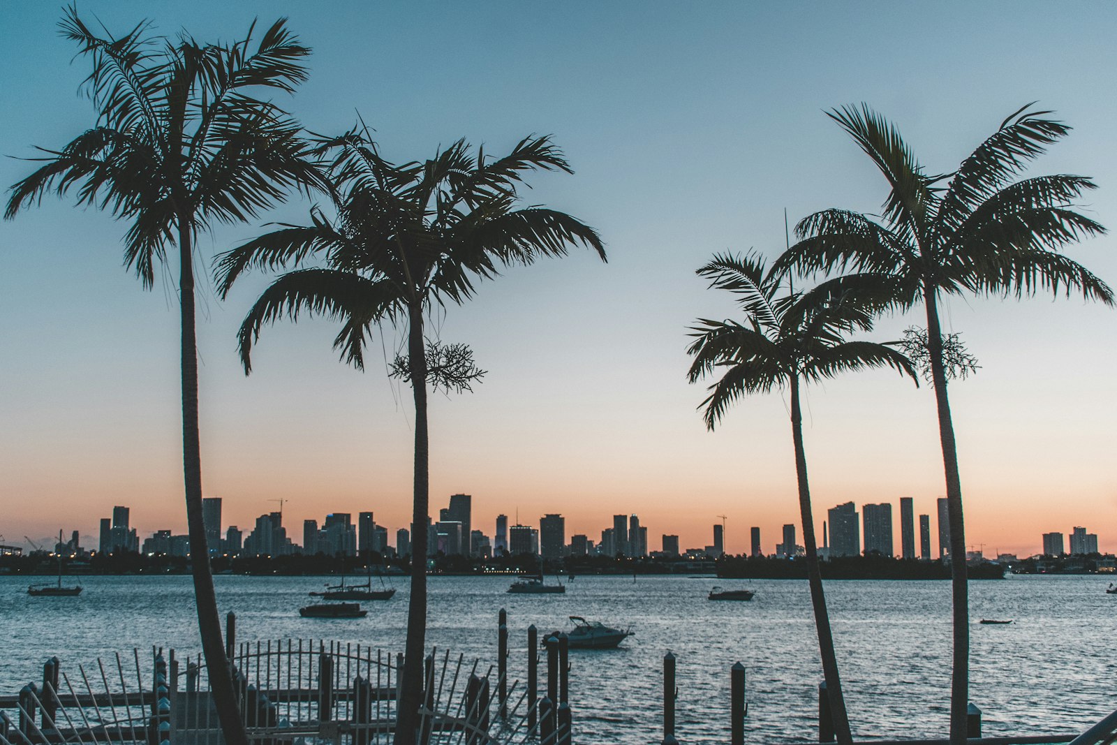 Florida beach at sunset with palm tree silhouettes on the Treasure Coast